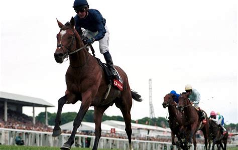 How A Colt Called Galileo Became The Horse Of A Lifetime Topics