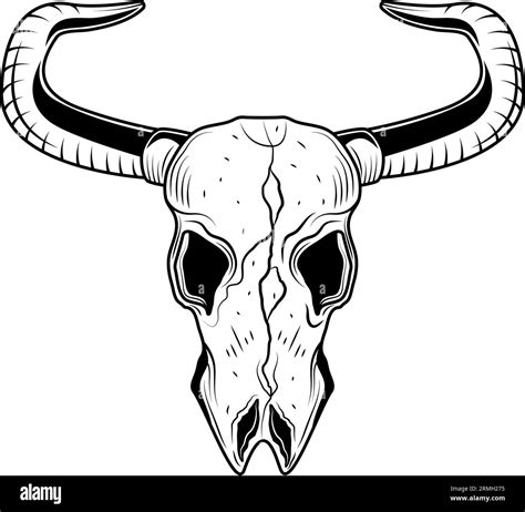 Black Bull Skull Stock Vector Image And Art Alamy