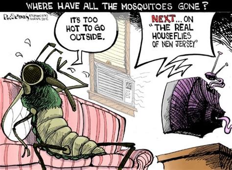 13 Best Mosquito Quotes And Humor Images On Pinterest Mosquitoes