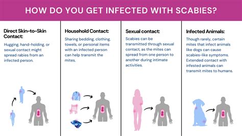 Is Scabies An Std Signs Transmission And Treatment