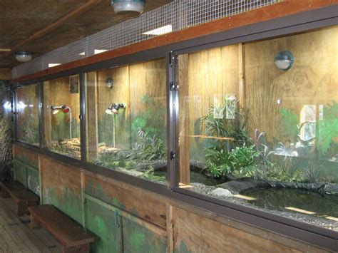 Enclosure For The Young American Alligators Zoochat