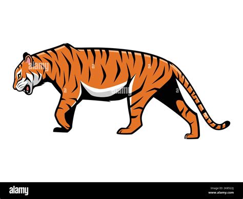 Tiger Walking Vector Cartoon Ilustración Logotipo De Mascota Aislada