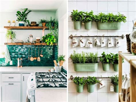 Las plantas de interior aportan vida, frescura y buen ambiente, sin embargo no todas las. decoraciones con plantas para interiores