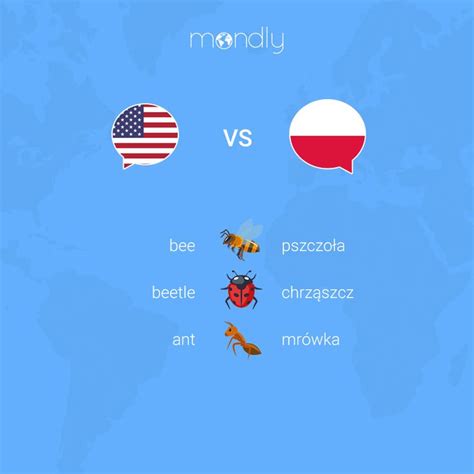 The Language Battle English Vs Polish Polish Language Learn Polish Learning Languages