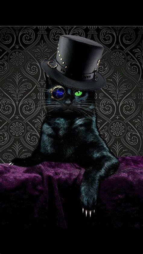 Pin By Brittany Austin Sweeney 🖤 On My Kind Of Heros Steampunk Cat