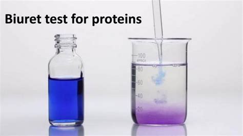 The addition of a precipitating agent and steady mixing sestabilizes the protein solution. What does Biuret test for? Its Principle, Mechanism and ...