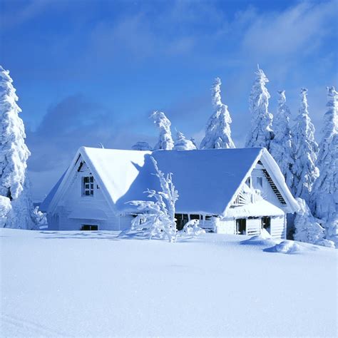 White Winter Landscape House Covered With Snow