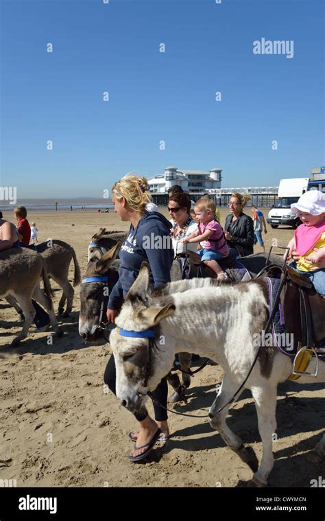 Childrens Donkey Rides On Beach Weston Super Mare Somerset England