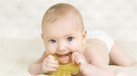 Wann sind sie alle durchgebrochen? 17 Top Photos Wann Bekommen Baby Erste Zähne : Zahnen Bei ...