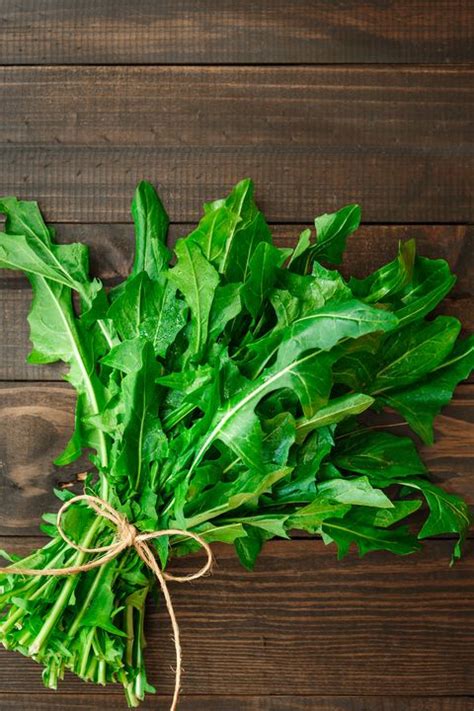 All of the bonsai plants out there never have the exact same name, but the only thing that they do have in common is that they are from the bonsai family members. 15 Different Types of Lettuce - Types of Lettuce for Salad ...