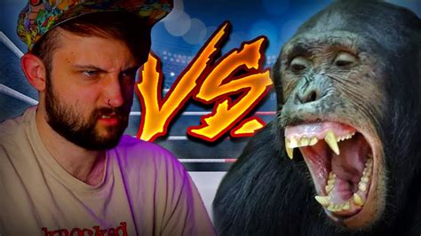 Are You Smarter Than A Chimpanzee? - YouTube
