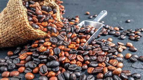 Can You Eat Coffee Beans Best Coffee Secrets