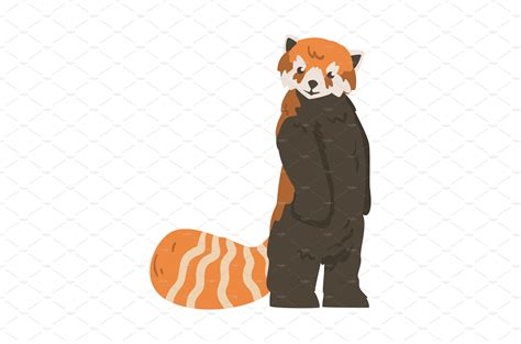 Cute Red Standing Panda Adorable Vector Graphics Creative Market