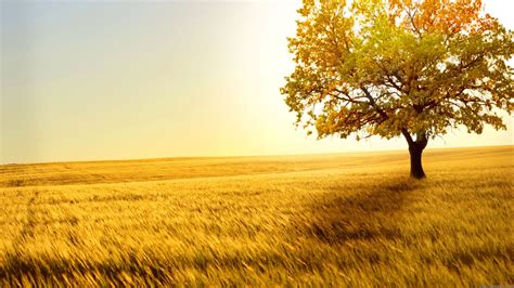 786961 Desktop Backgrounds Wallpapers | Nature Backgrounds