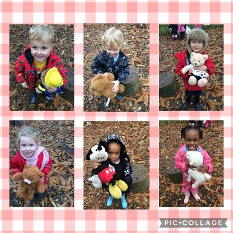 Teddy Bear Adventures Newdale Primary And Nursery School