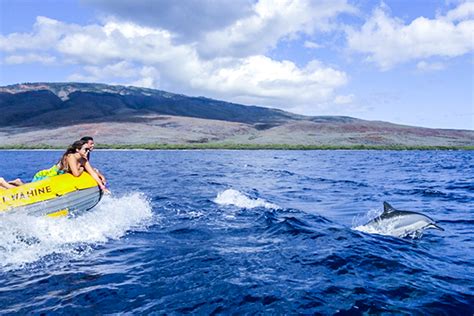 Maui Hawaii Tours Snorkel Tour To Lanai Maui Sights And Treasures