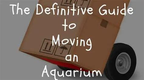 The Definitive Guide To Moving An Aquarium Saltwater Aquarium Blog