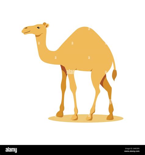 Camel Vector Illustration Stock Vector Image And Art Alamy