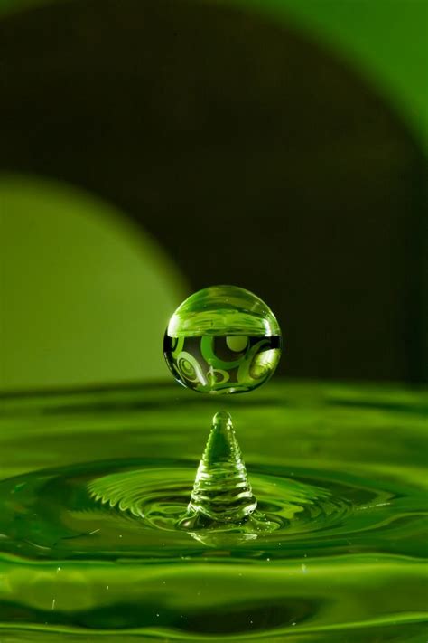 Macro Water Drop Photography Macro Photography 10 Beautiful