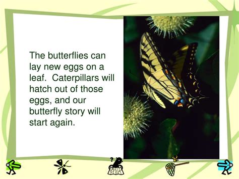 Ppt The Butterfly Story Powerpoint Presentation Free Download Id53519