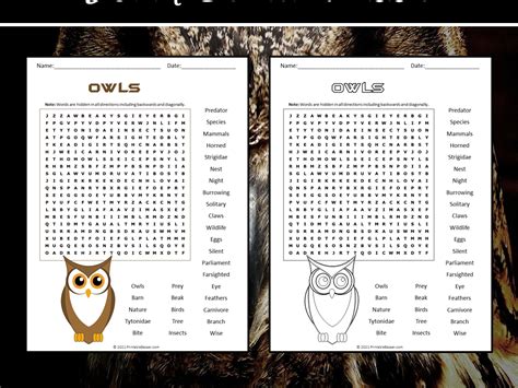 Owls Word Search Puzzle Teaching Resources