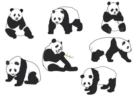 Panda Bear Silhouette 스톡 벡터 로열티 프리 Panda Bear Silhouette 일러스트레이션 페이지