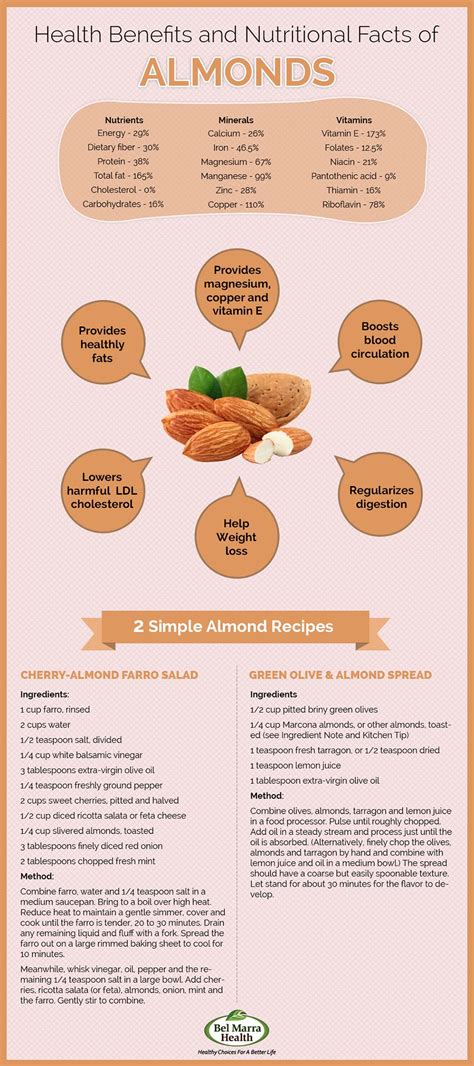 Nutritional Benefits Of Almonds Visually