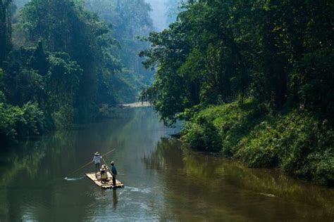4 Reasons You Wont Regret Taking A Trip To The Amazon Rainforest
