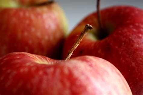 Free Picture Red Apples Fruit Macro Photography