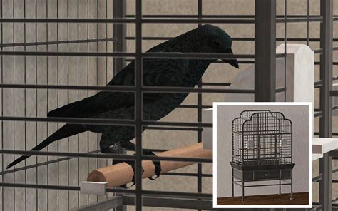 Sims 4 Pet Bird Mod You Might Be Familiar With The Red Feathers Of