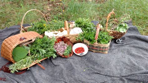 Foraging 101 Online: Intro to Foraging - Will Forage For Food