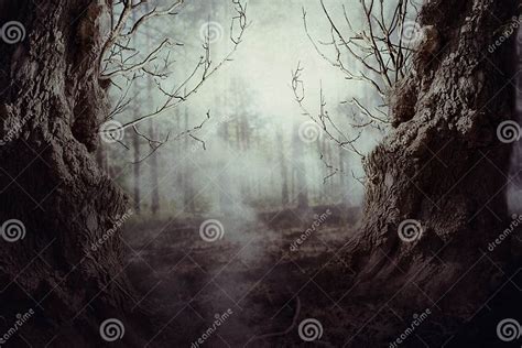 Spooky Tree In Night Mist Stock Image Image Of Green 78598995