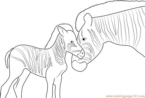 Welcome to free coloring daily! Zebra Family Coloring Page - Free Zebra Coloring Pages ...
