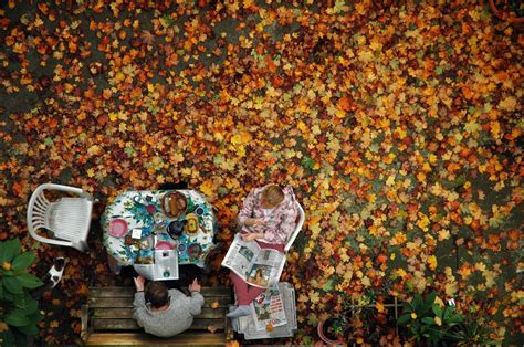 Free Images People Flower Crowd Color Autumn Season 3008x2000