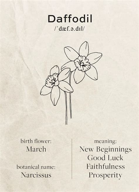 March Birth Flower Meaning