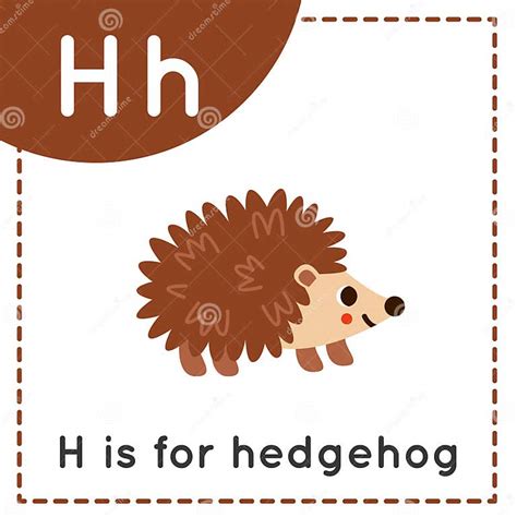 Learning English Alphabet For Kids Letter H Cute Cartoon Hedgehog