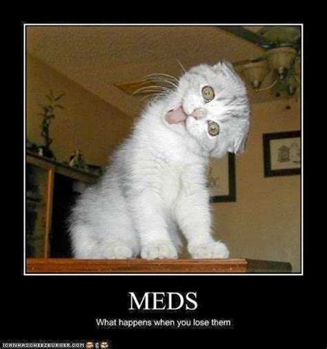 Oh My Freaking Stars Meds And Meows