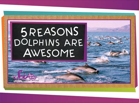 5 Reasons Why Dolphins Are Awesome Ocean Animals For Kids Ocean