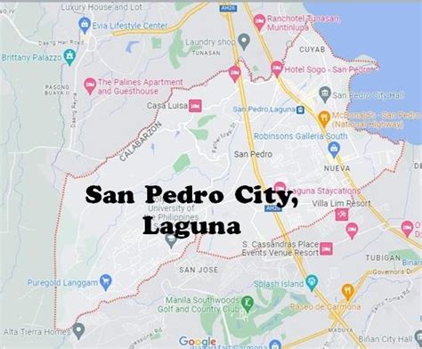 San Pedro Laguna Councilors Mayor Vice Mayor