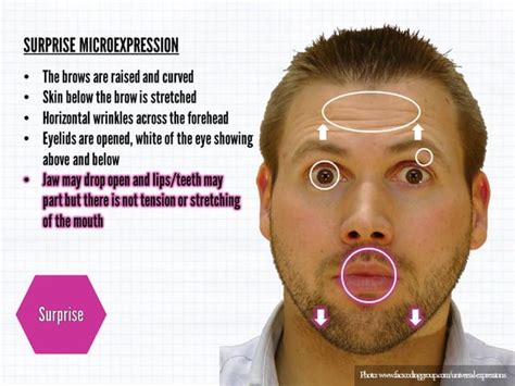 Micro Expressions