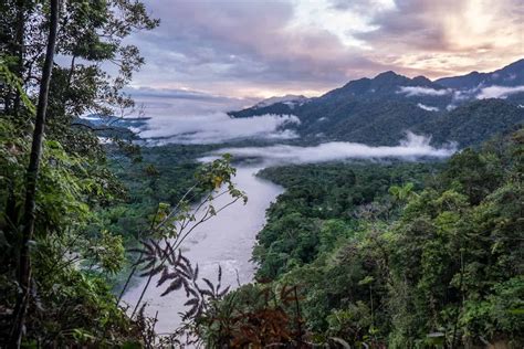 Ecuador Is Considered One Of The Most Biodiverse Countries In The World