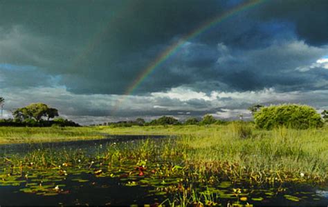 Travel To Botswana During Rainy Season For A Green Natural Wonderland