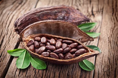Le Cacao Et Ses Effets Sur La Santé Santé Quotidienne Raw Cacao