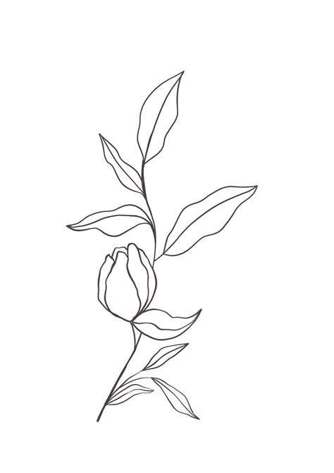 Tulip Drawing Line Art Flowers Flower Line Drawings Art Drawings