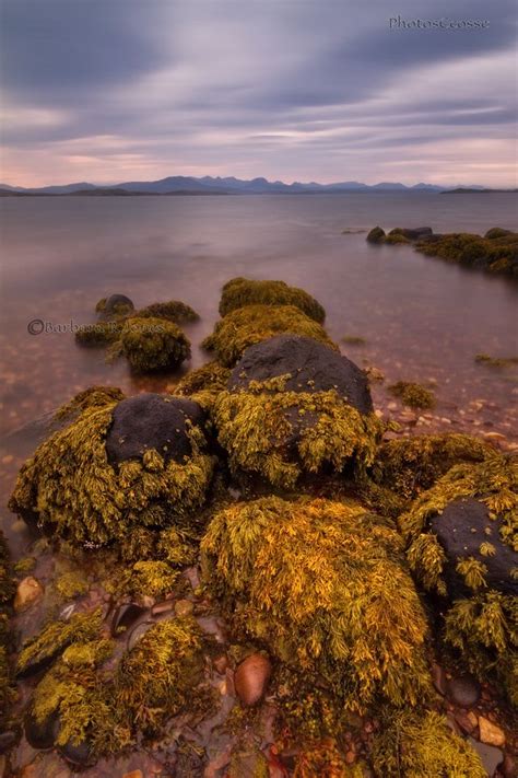 Seascapes Scotland Badentarbet Shoreline Rocks View To Wester Ross