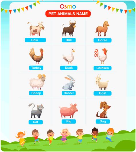 Pet Animals Name List Of All The Names Of Pet Animals