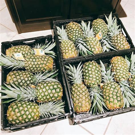 Wholesale Fresh Pineapple Pineapple Fruit Price Bulk Fresh Fruit