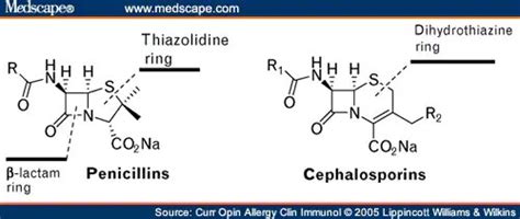 Penicillin Cephalosporin Cross Reactivity Chart