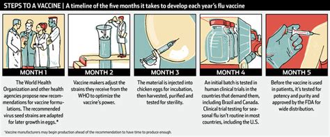 The Making Of A Flu Vaccine Wsj