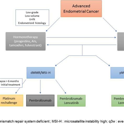 Systemic Treatment Strategies For Advanced Metastatic Endometrial